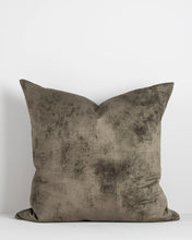 Load image into Gallery viewer, Theo Cushion