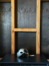 Load image into Gallery viewer, Mask Venetian Zane