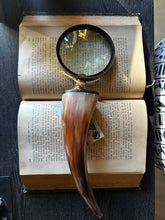 Load image into Gallery viewer, Magnify Glass Dexter