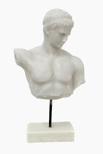 Load image into Gallery viewer, Euros Bust Statue