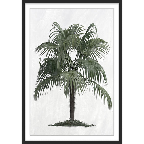 Palm Tree Print