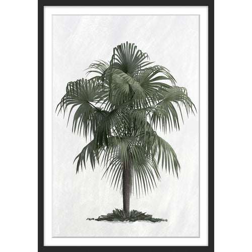 Palm Tree Cove Print