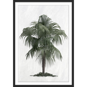 Palm Tree Cove Print