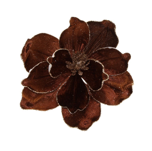 Magnolia Clip Chocolate