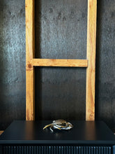 Load image into Gallery viewer, Sculpture Crab Brass Trinket