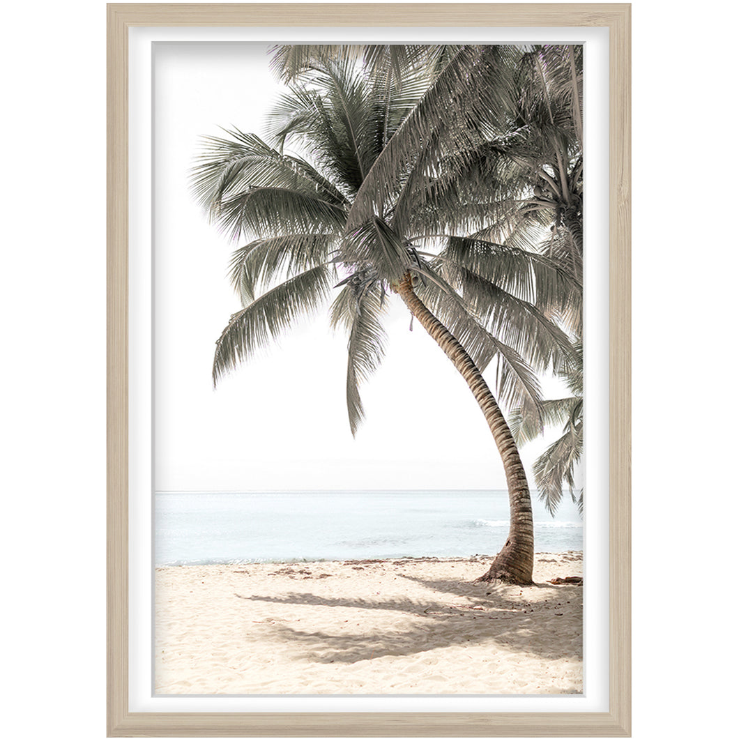 Beach Palm Print