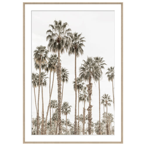 Palm Tree Print