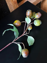 Load image into Gallery viewer, Flower Stems