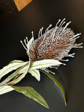 Load image into Gallery viewer, Flower Stems