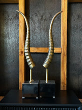 Load image into Gallery viewer, Sculpture Antler Brass Pair
