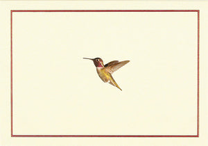Hummingbird Flight Card Set
