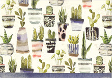 Load image into Gallery viewer, Watercolour Succulents Card Set