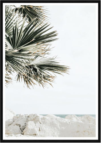 Bisque Print