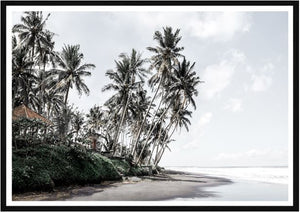 Budha Beach Print