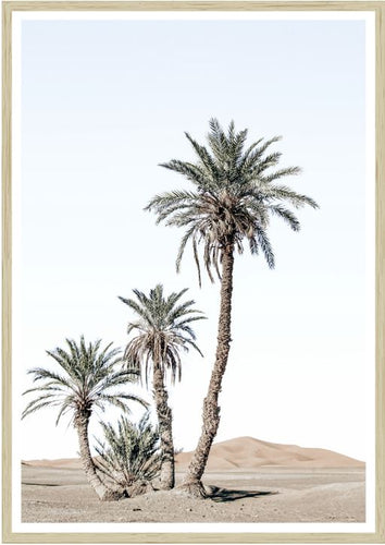 Desert Days Print