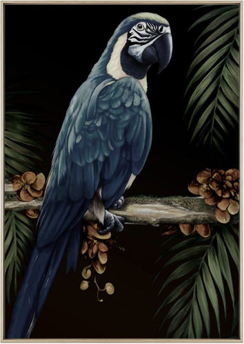 Franklin Print