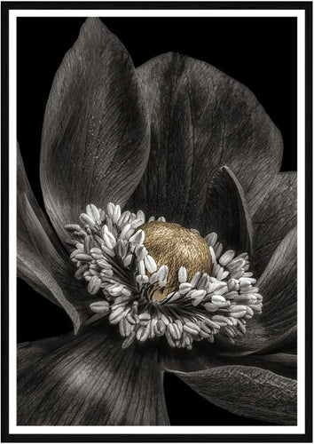 Gold Bud Flower Print