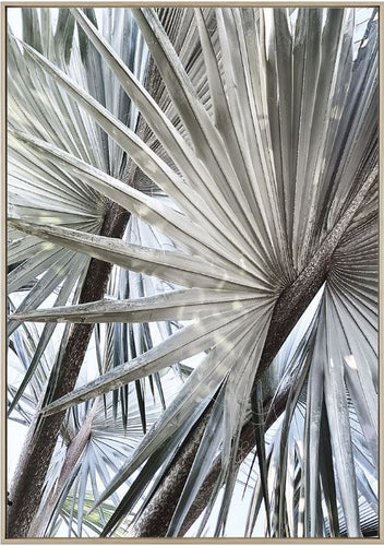 Palm Effect Print