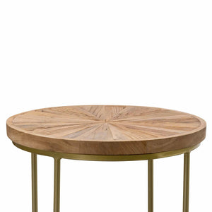 Natural Elm Wood Side Table