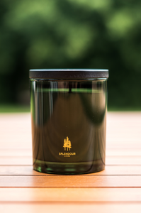 Arendal est. 2020 - Peace Candle: Thyme and Olive Leaf