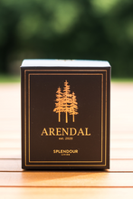 Load image into Gallery viewer, Arendal est. 2020 - Tranquillity Candle: Coconut and Lime