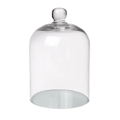 Small Glass Display Dome